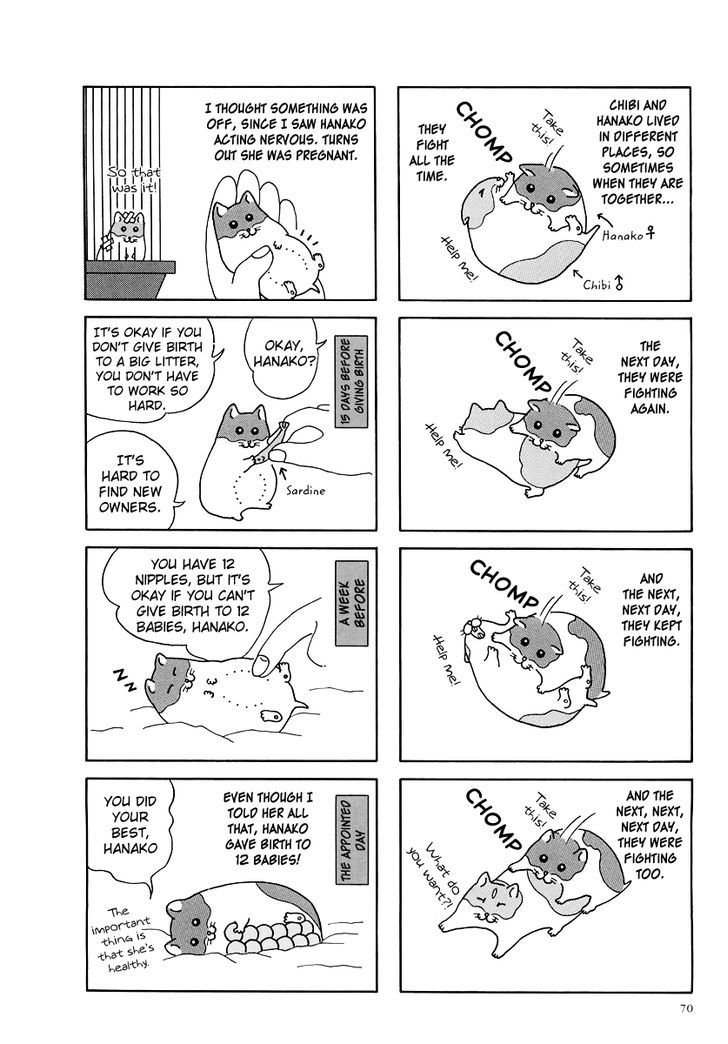 Hamster no Kenkyuu Report Chapter 8.2 page 2 - Chapter 8 v2 : Chibi Ham's Secret Story