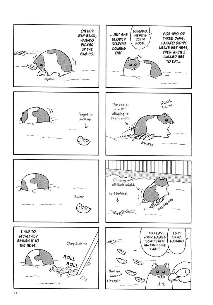 Hamster no Kenkyuu Report Chapter 8.2 page 3 - Chapter 8 v2 : Chibi Ham's Secret Story