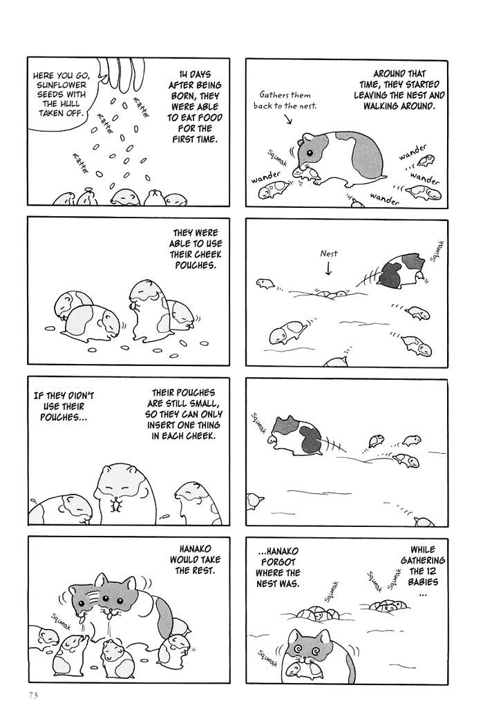 Hamster no Kenkyuu Report Chapter 8.2 page 5 - Chapter 8 v2 : Chibi Ham's Secret Story