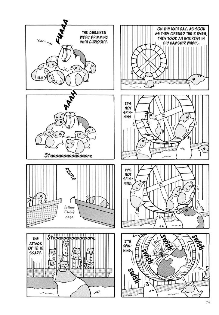Hamster no Kenkyuu Report Chapter 8.2 page 6 - Chapter 8 v2 : Chibi Ham's Secret Story