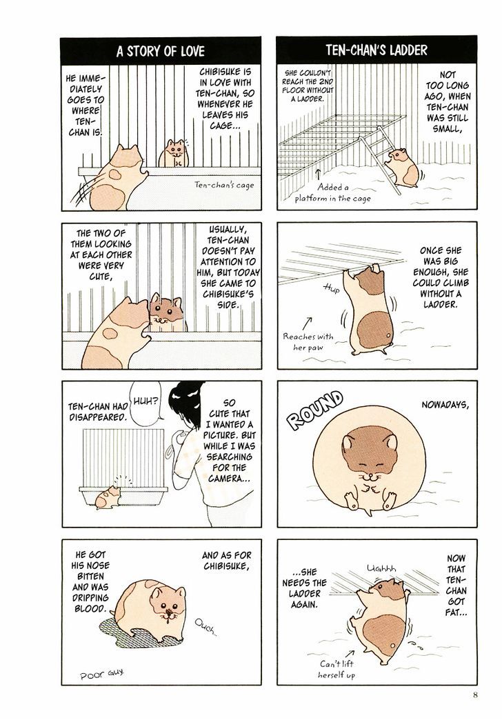 Hamster no Kenkyuu Report Chapter 9.2 page 11 - Chapter 9 v2 : Report 18