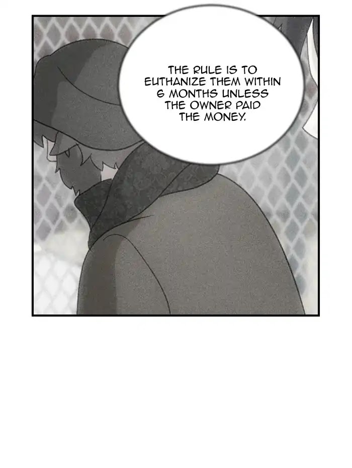 Hana Haru Chapter 77 page 36 - Chapter 77: Coma (1)