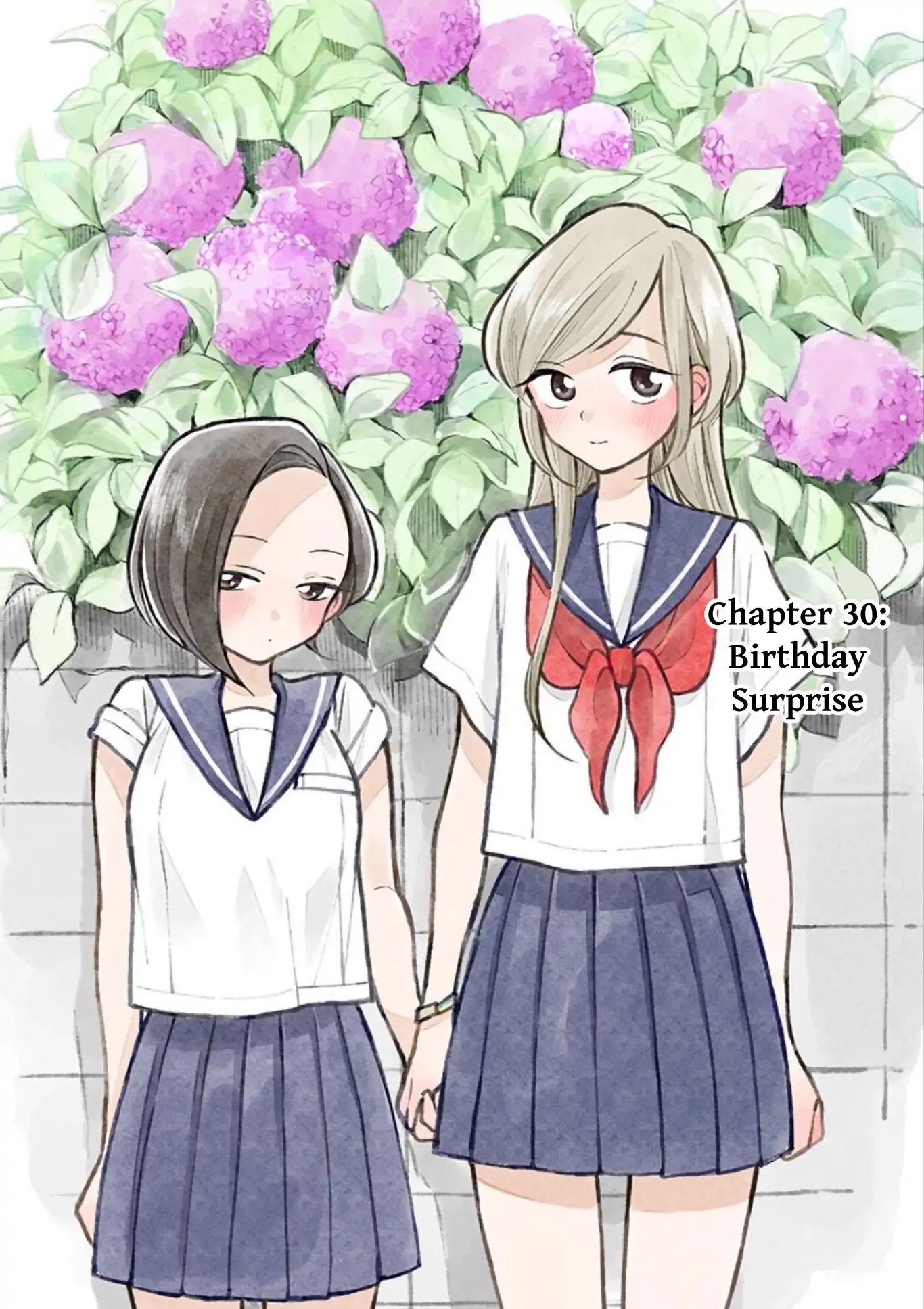 Hana Ni Arashi (Ruka Kovachi) Chapter 30 page 2 - Chapter 30: Birthday Surprise