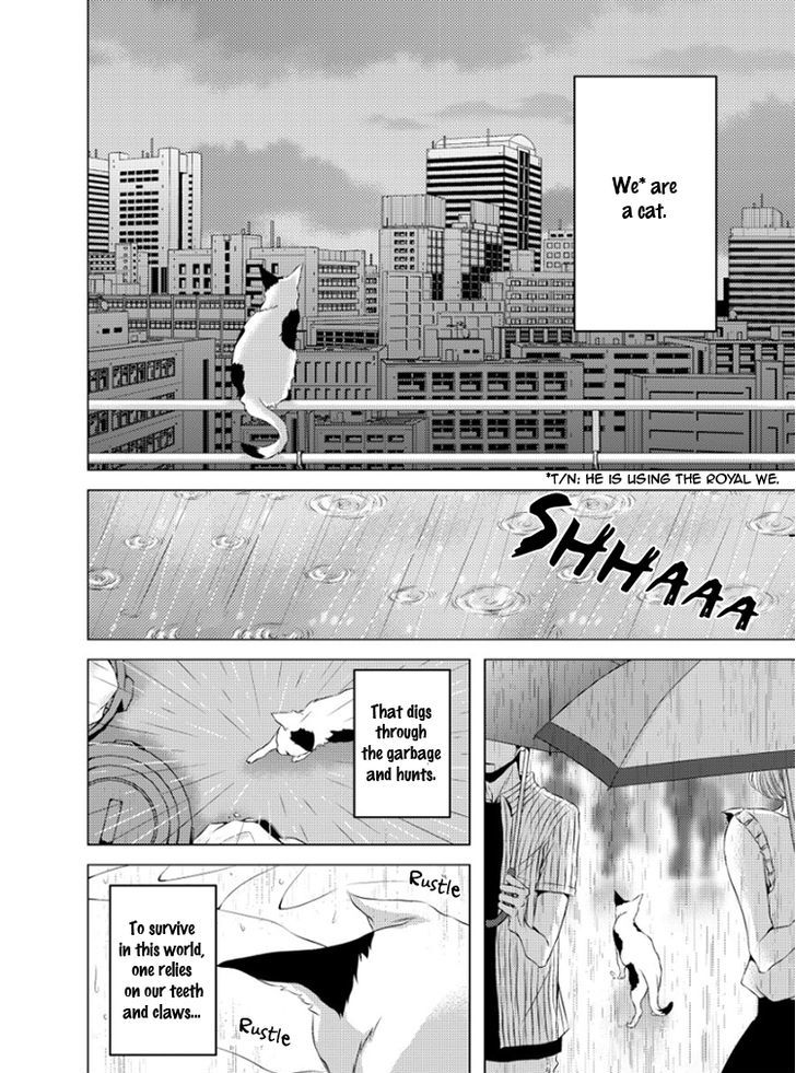 Hana to Junketsu Chapter 5 page 7 - Chapter 5 : + Extra Read Online