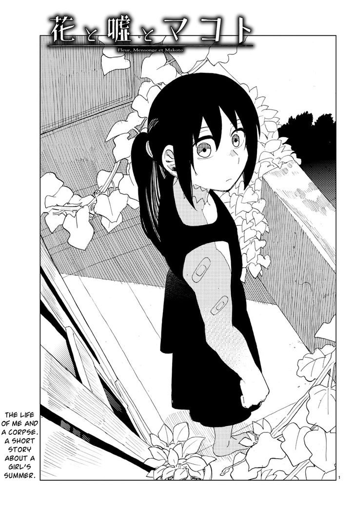 Hana to Uso to Makoto Chapter 11 page 1 - Chapter 11 : Chapter 11