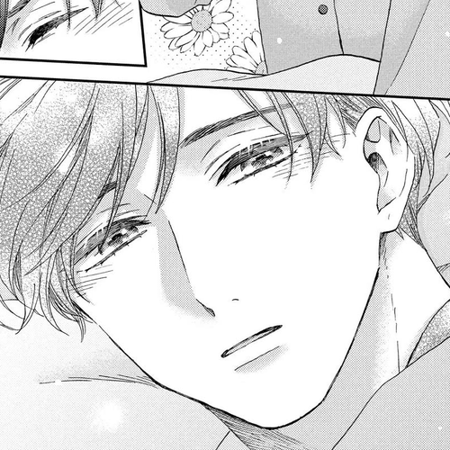Hananoi-kun to Koi no Yamai Chapter 72 cover