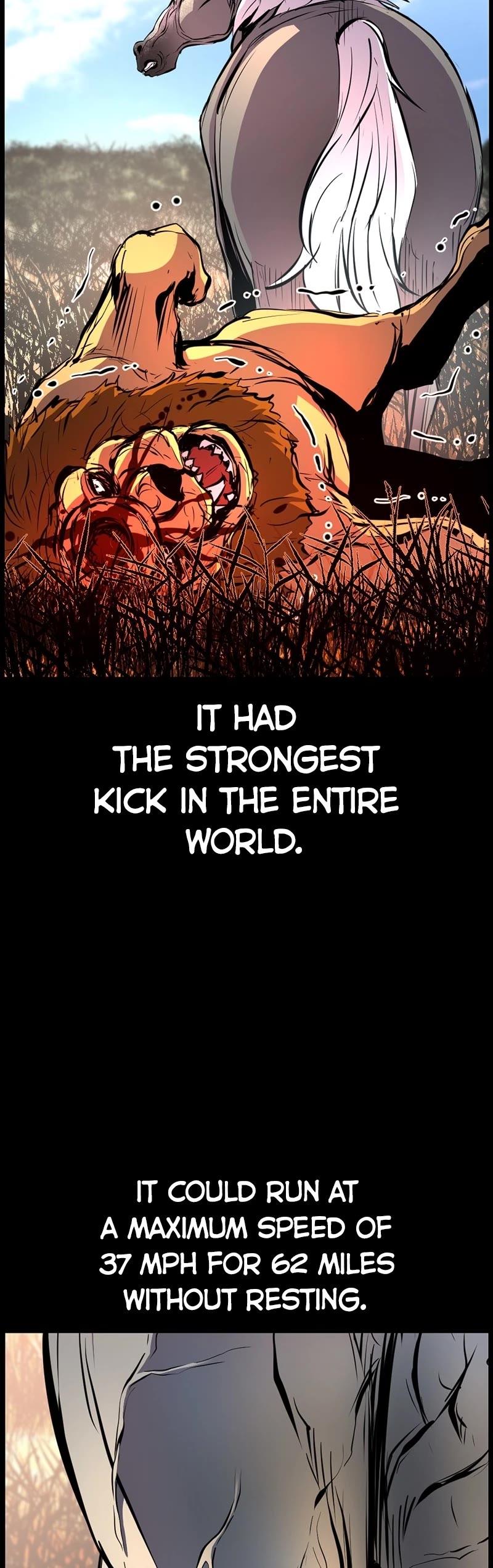 Hanlim Gym Chapter 110 page 24 - Chapter 110: (S2) Episode 6
