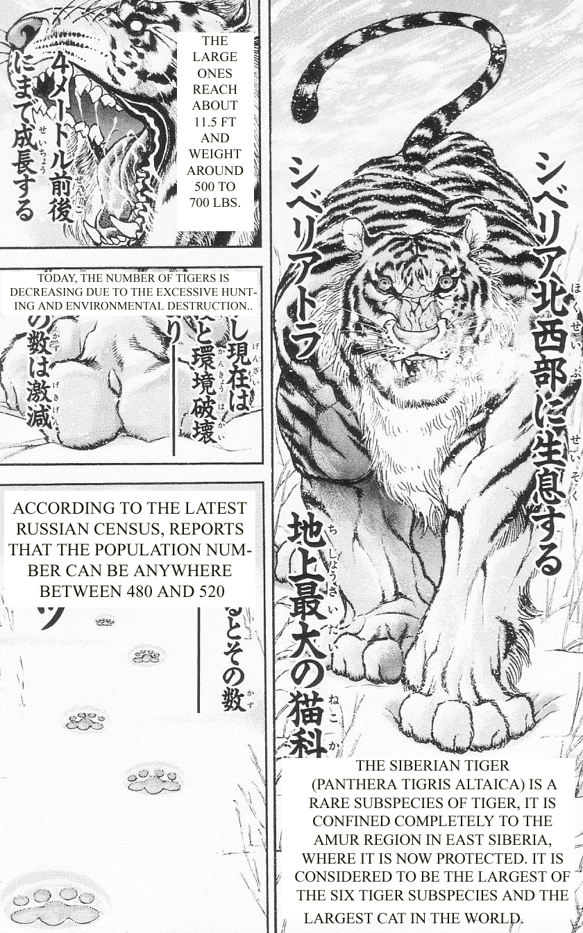 Hanma Baki Chapter 12.92 page 5 - Vol.12 Chapter 92: Culmination