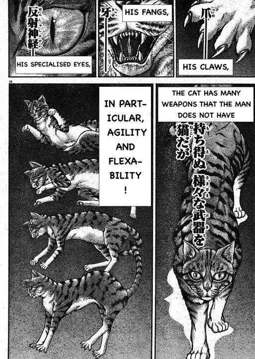 Hanma Baki Chapter 18.146 page 10 - Vol.18 Chapter 146: Reflexes