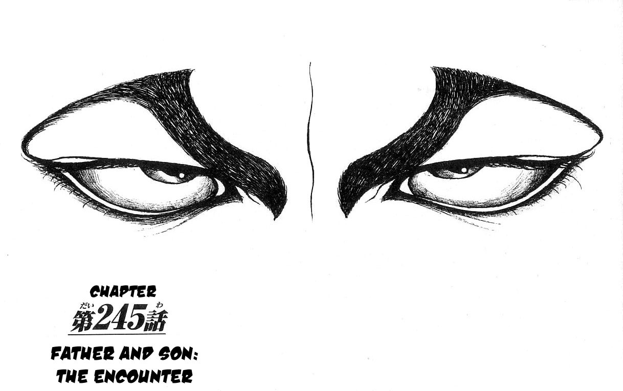 Hanma Baki Chapter 30.245 page 1 - Vol.30 Chapter 245: Father And Son:The Encounter