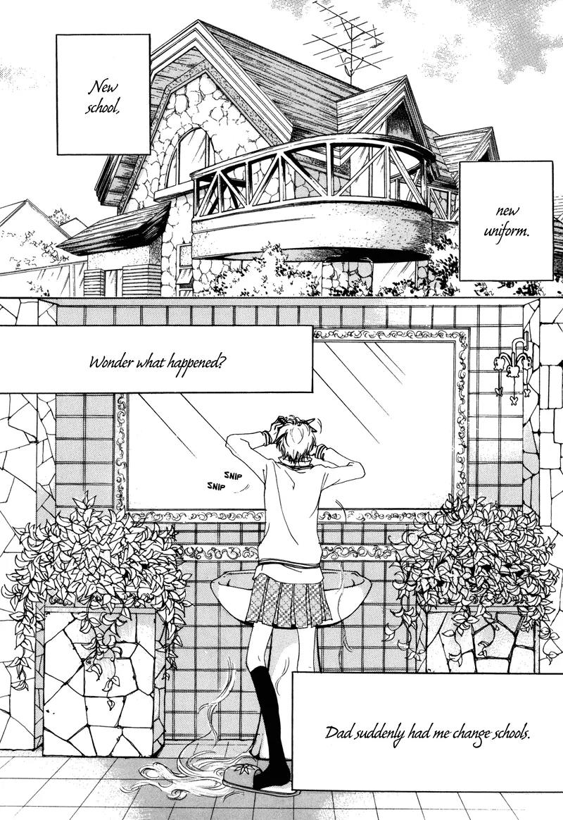 Happy & Murphy Chapter 2 page 4 - Chapter 2: File 2. Cast a Spell!