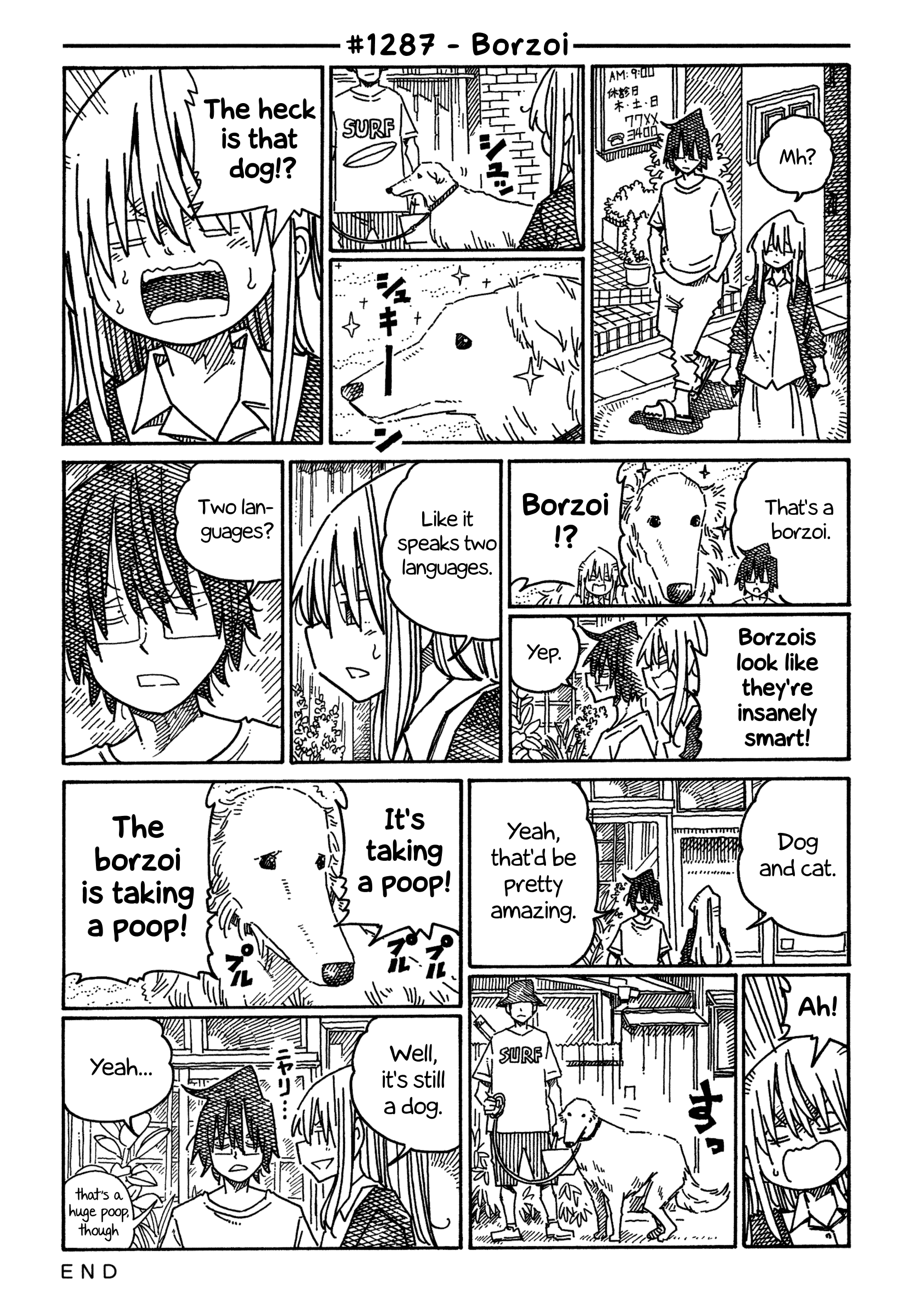Hatarakanai Futari (The Jobless Siblings) Chapter 1287 page 1 - Chapter 1287: Borzoi