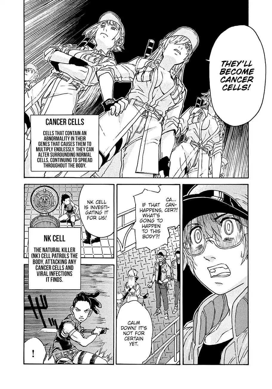 Hataraku Saibou BLACK Chapter 11 page 17 - Chapter 11: Peace, Polyp, Catastrophe