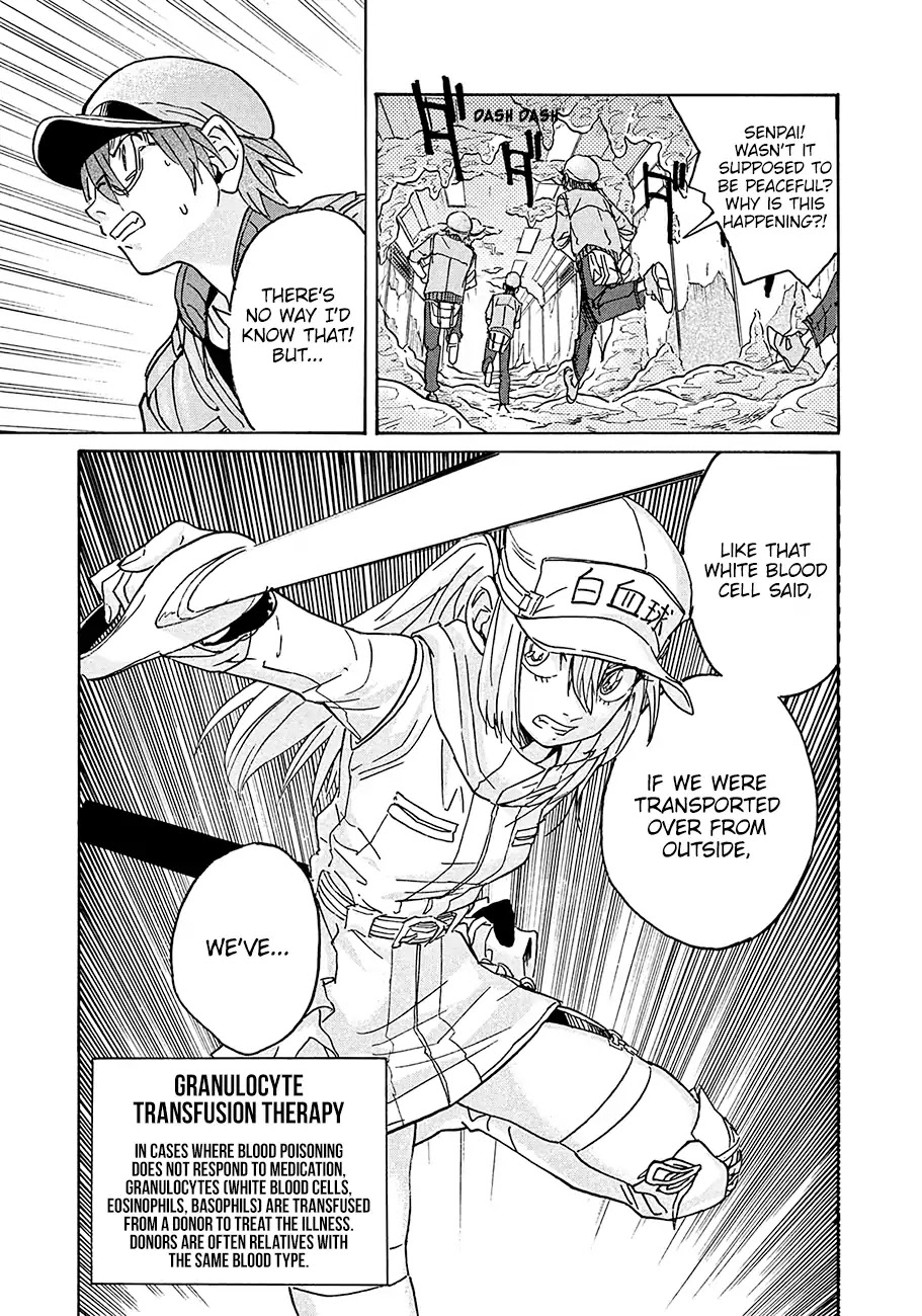 Hataraku Saibou BLACK Chapter 11 page 29 - Chapter 11: Peace, Polyp, Catastrophe