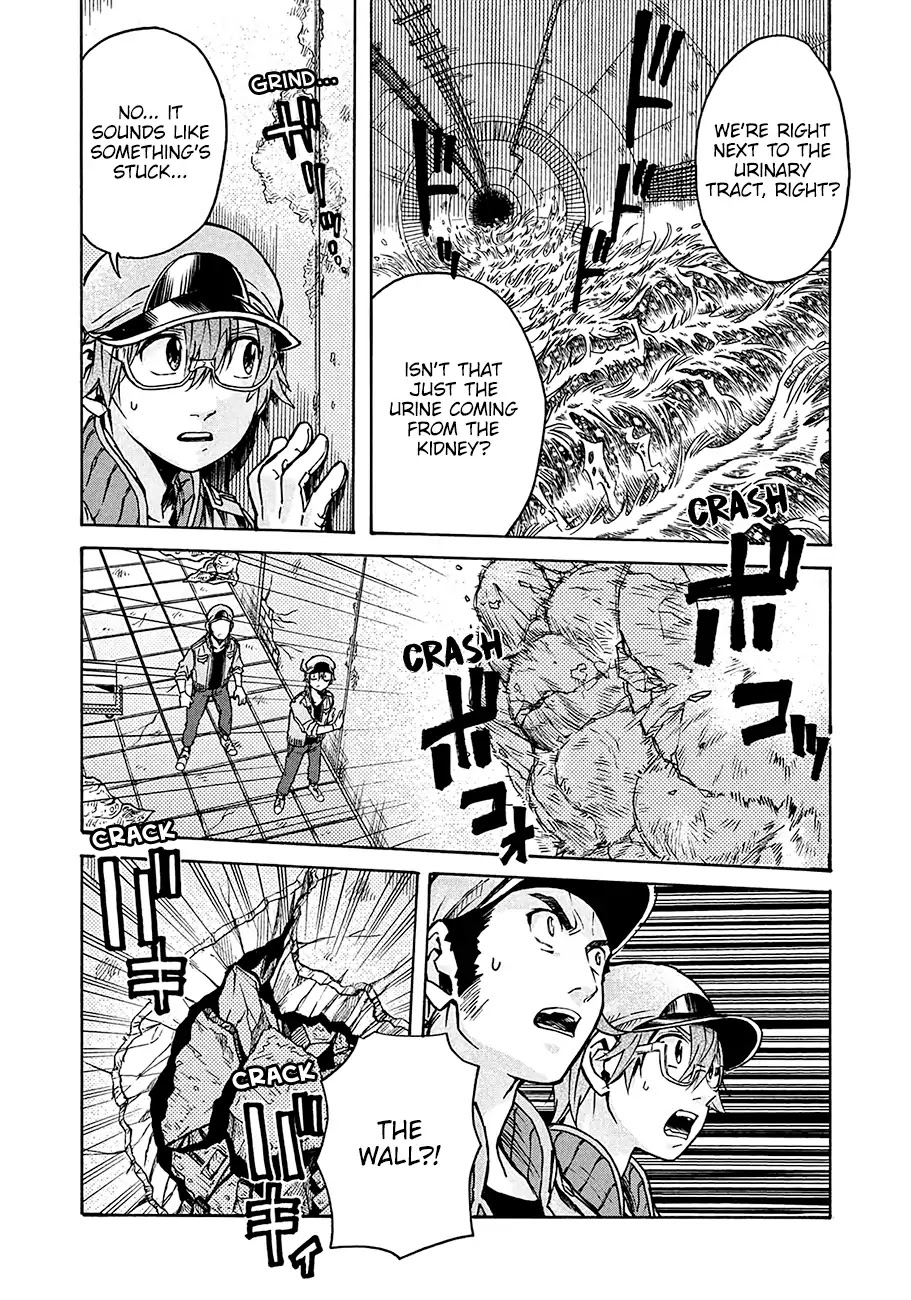 Hataraku Saibou BLACK Chapter 13 page 12 - Chapter 13: Kidney, Ureterolithiasis, Hematuria
