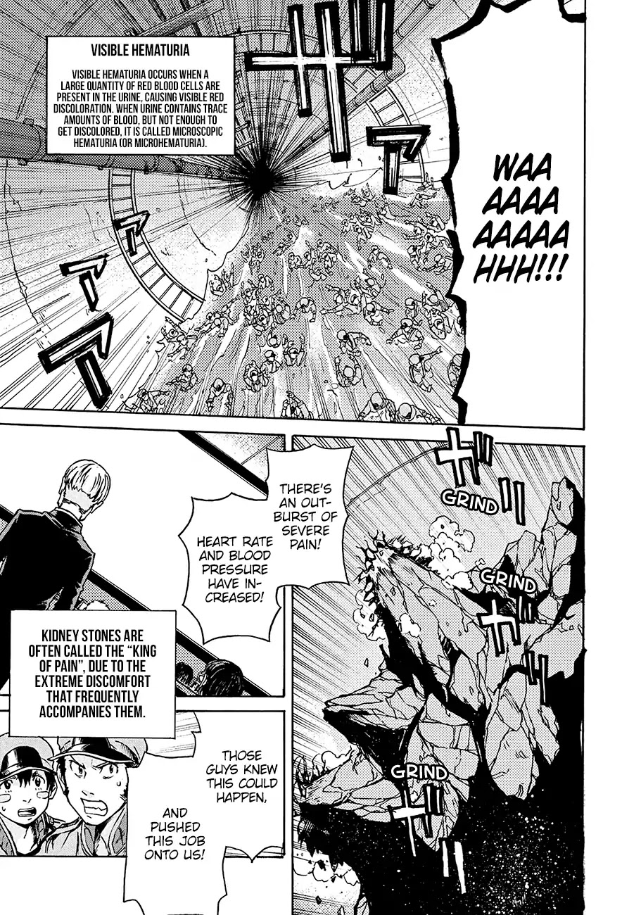 Hataraku Saibou BLACK Chapter 13 page 15 - Chapter 13: Kidney, Ureterolithiasis, Hematuria