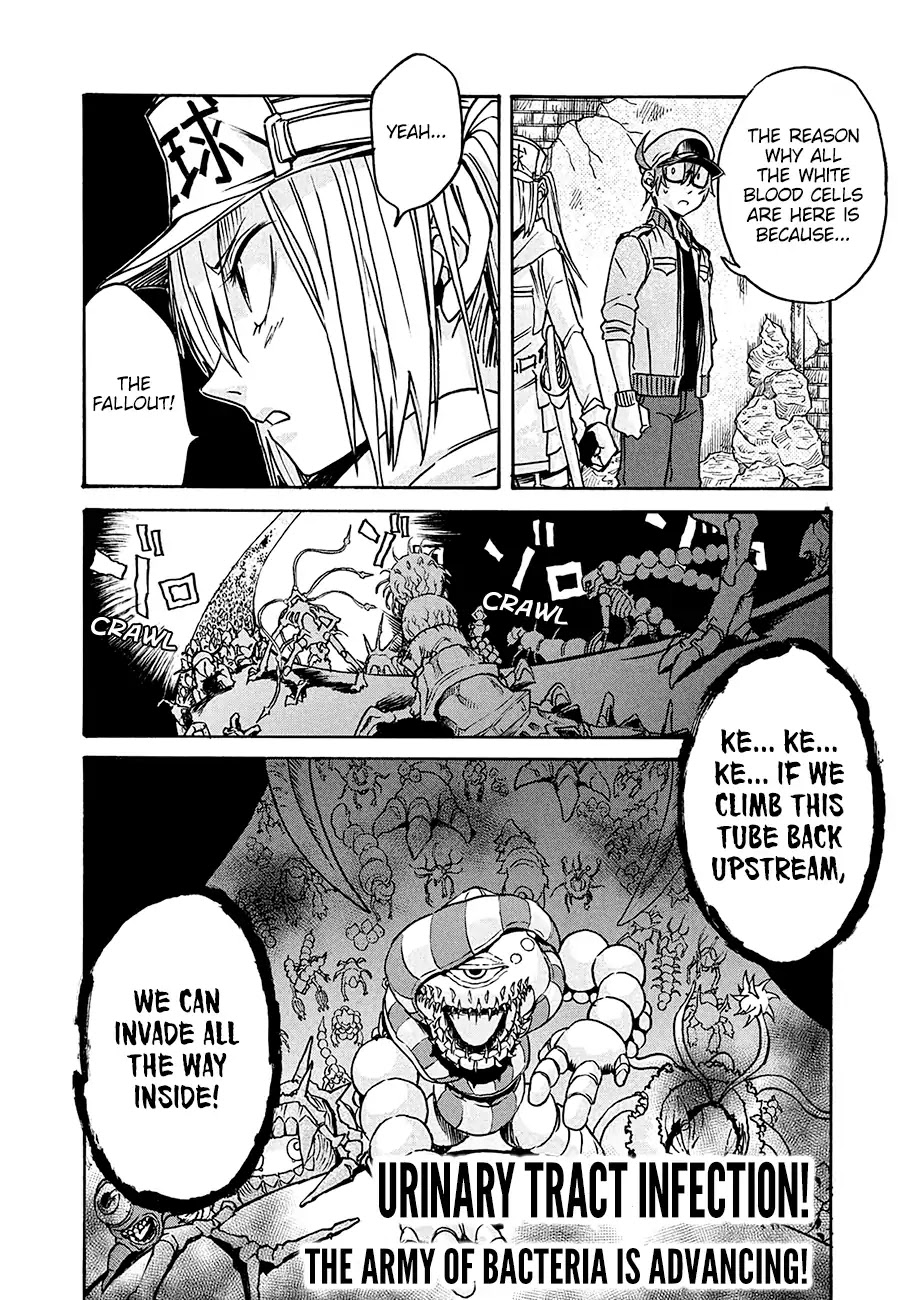 Hataraku Saibou BLACK Chapter 13 page 22 - Chapter 13: Kidney, Ureterolithiasis, Hematuria