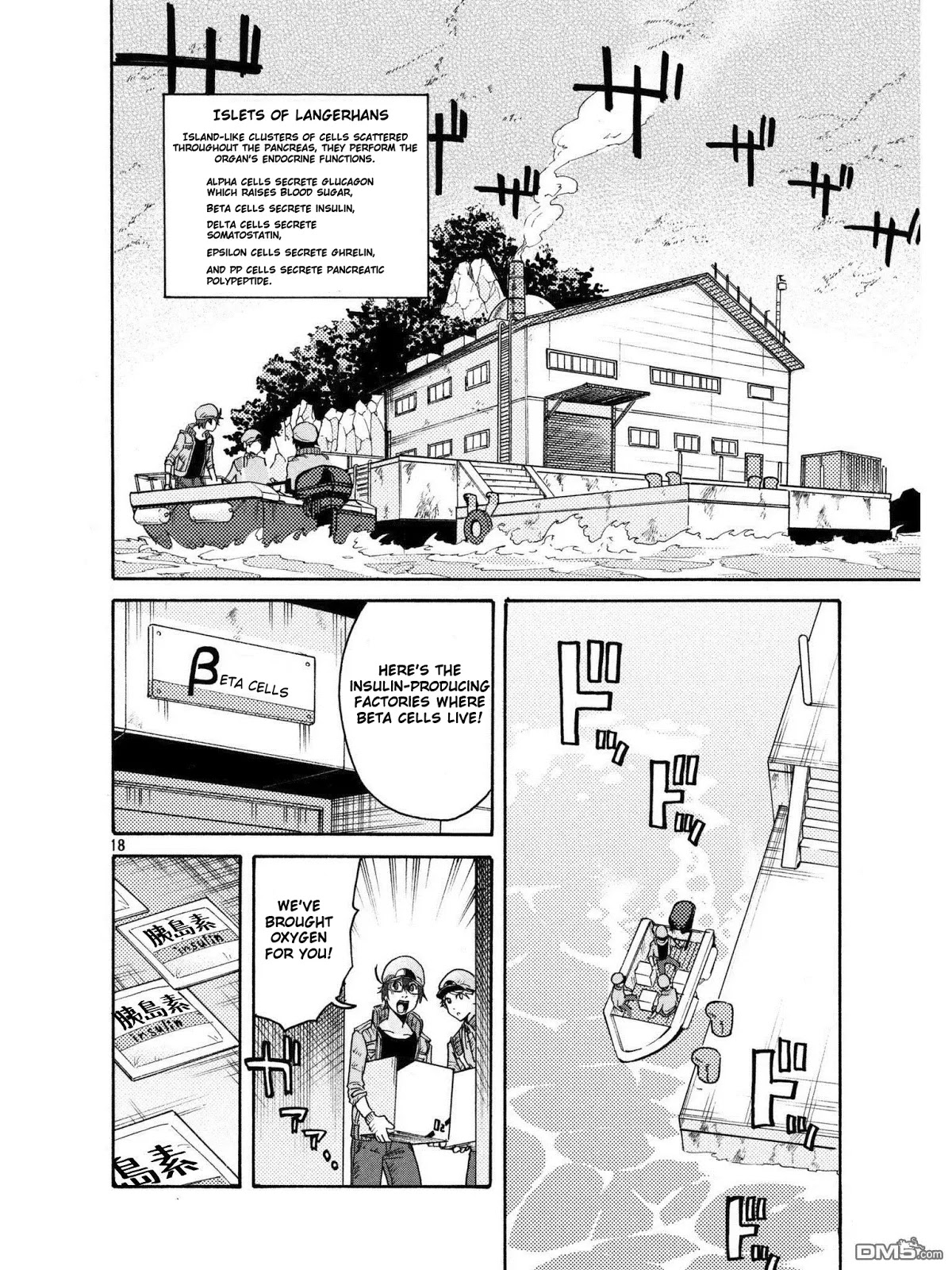 Hataraku Saibou BLACK Chapter 18 page 17 - Chapter 18: Pancreas, Insulin, Collapse