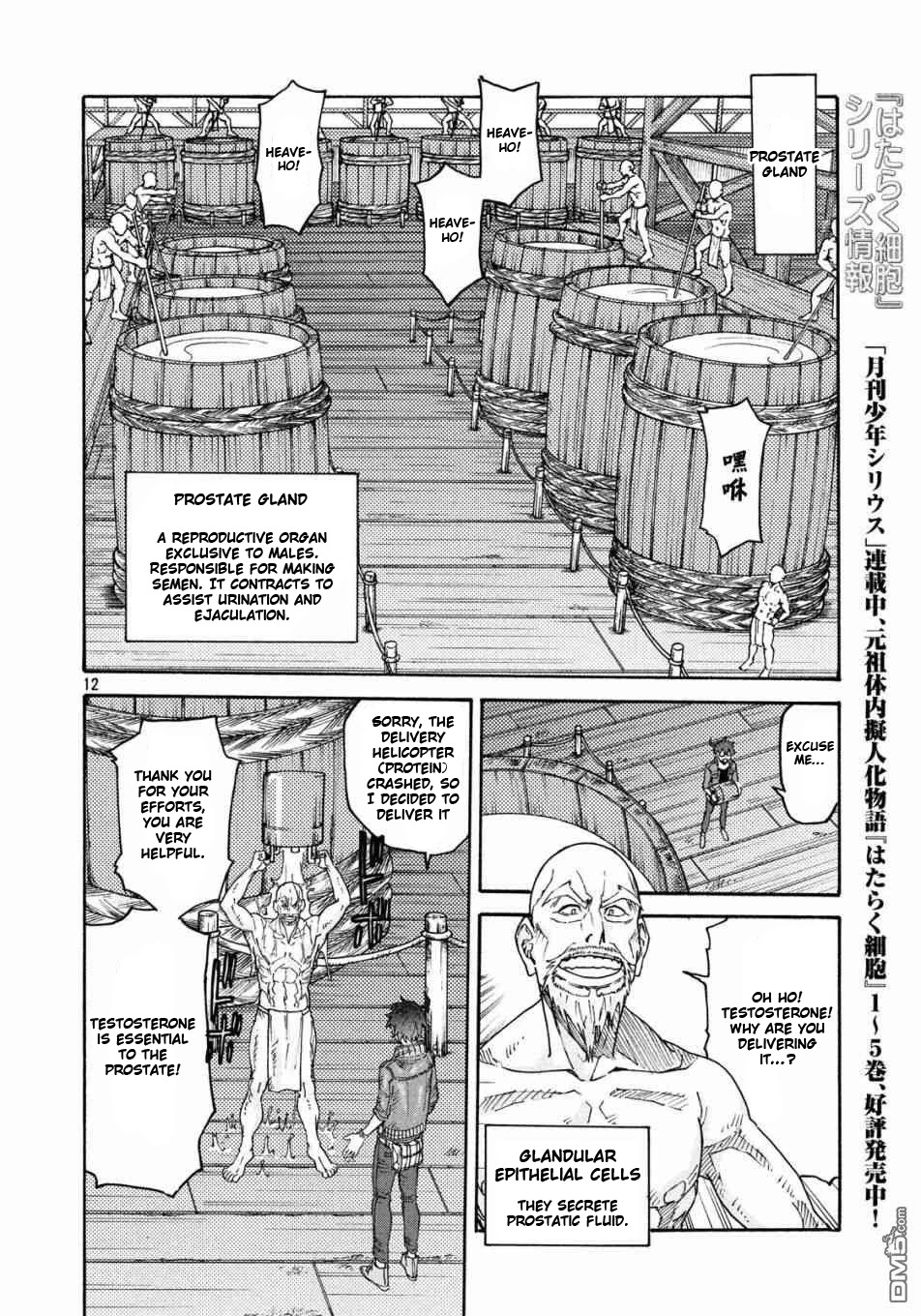 Hataraku Saibou BLACK Chapter 20 page 12 - Chapter 20: AGA, Semen, Losing Work