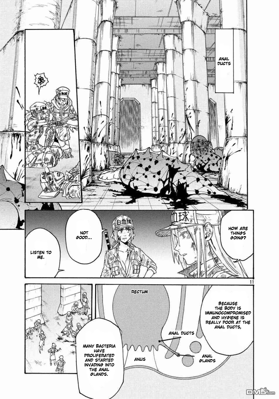 Hataraku Saibou BLACK Chapter 21 page 11 - Chapter 21: Return, Responsibility, Hemorrhoids