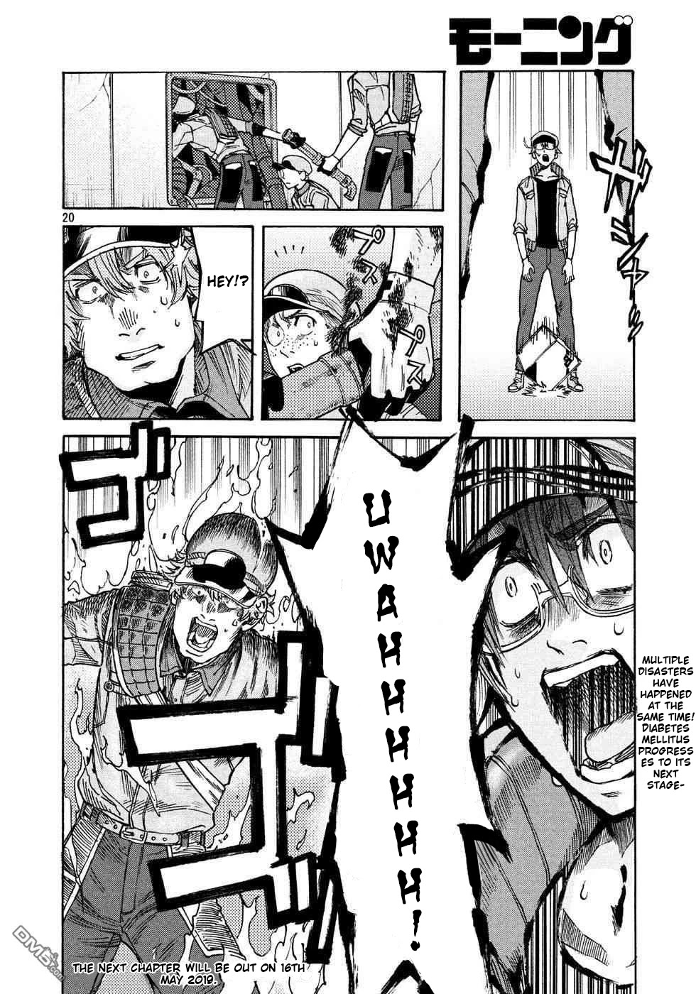 Hataraku Saibou BLACK Chapter 24 page 19 - Chapter 24: Sugar, Blood Vessels, Catastrophe