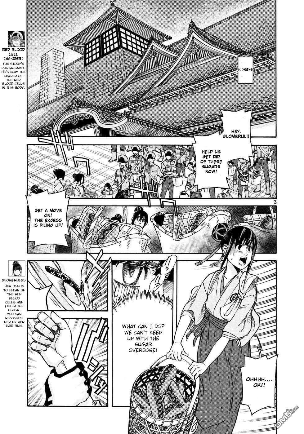 Hataraku Saibou BLACK Chapter 24 page 3 - Chapter 24: Sugar, Blood Vessels, Catastrophe