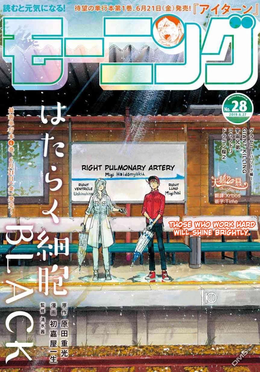 Hataraku Saibou BLACK Chapter 27 page 1 - Chapter 27: Sleep Apnea, Sentimentality, Reality