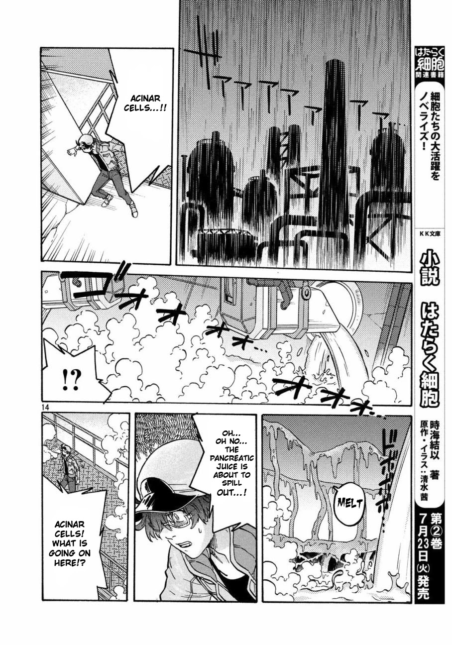 Hataraku Saibou BLACK Chapter 28 page 13 - Chapter 28: Pancreas, Fraud, Inferno
