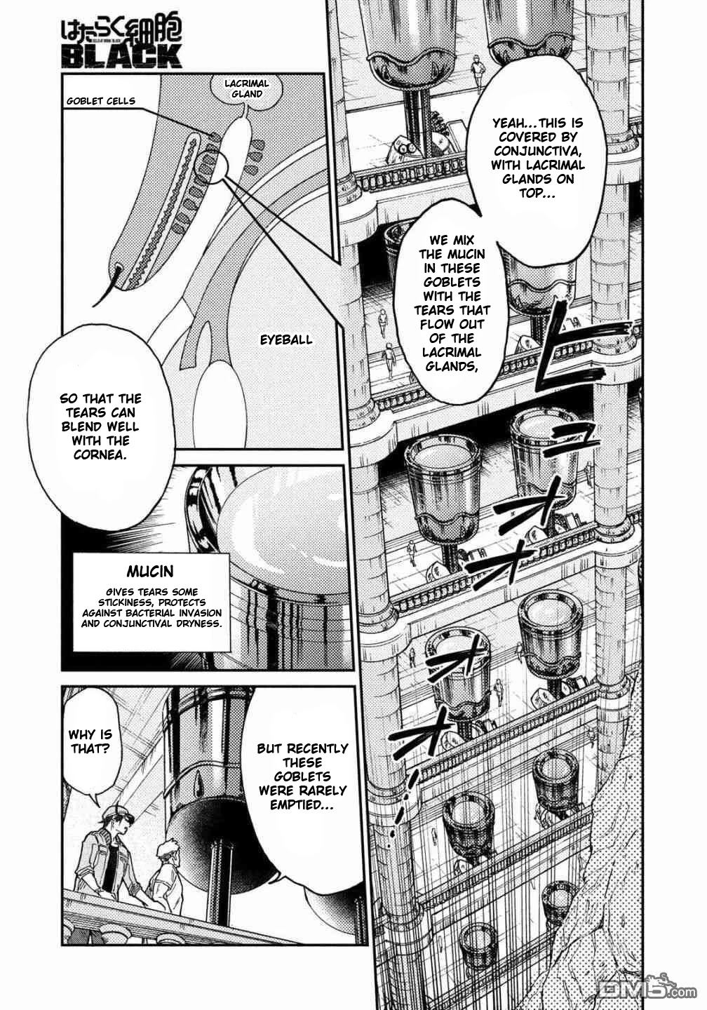 Hataraku Saibou BLACK Chapter 32 page 24 - Chapter 32: Gastric Lavage, Tears, Tears