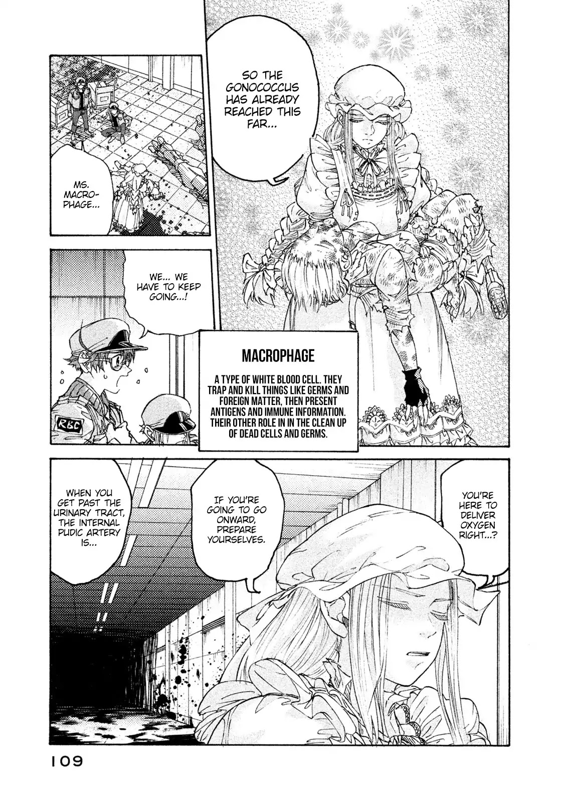 Hataraku Saibou BLACK Chapter 4 page 13 - Chapter 4: Gonococcus, Invasion