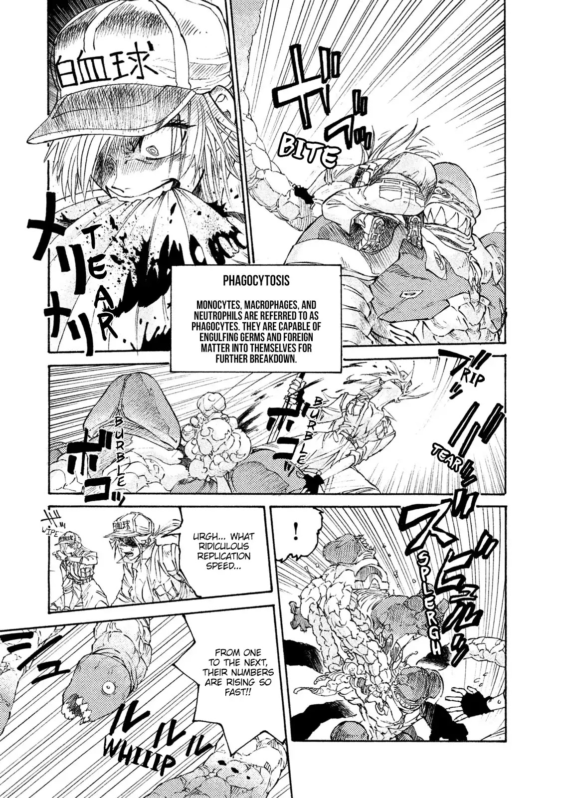 Hataraku Saibou BLACK Chapter 4 page 15 - Chapter 4: Gonococcus, Invasion