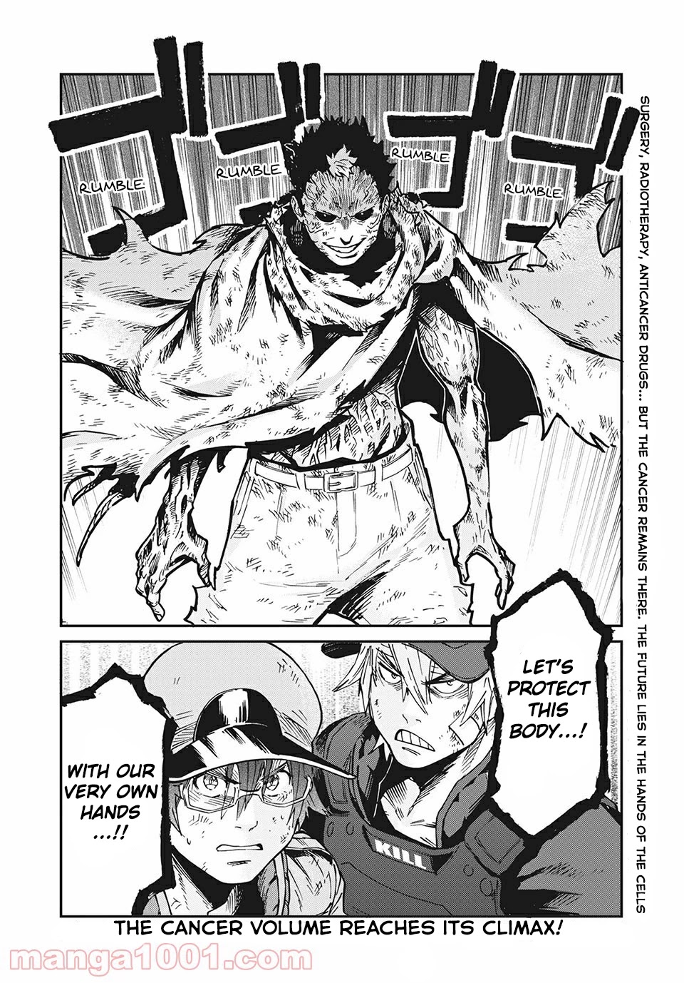 Hataraku Saibou BLACK Chapter 40 page 30 - Chapter 40: Metastasis, Radiotherapy, Anticancer drugs