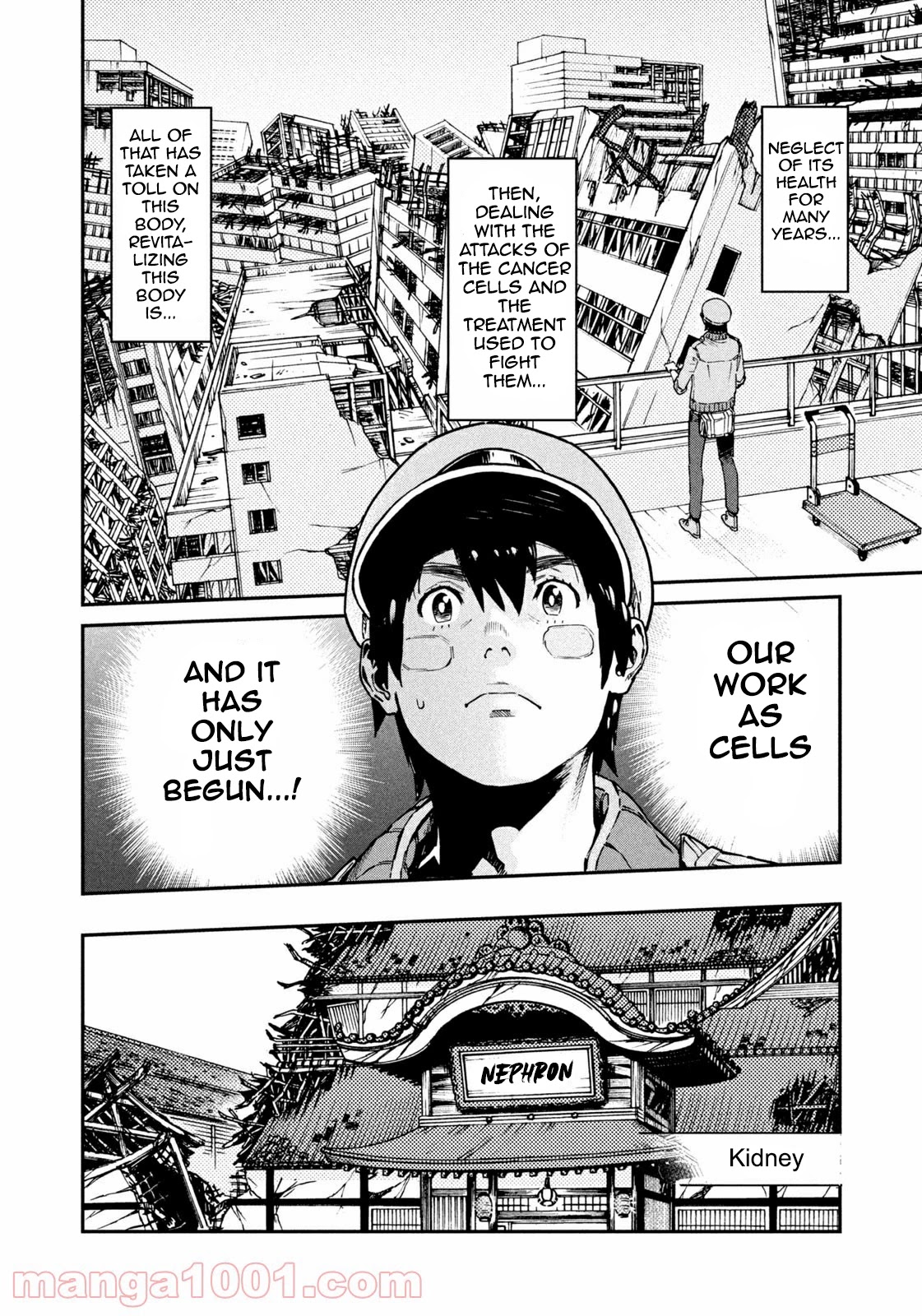 Hataraku Saibou BLACK Chapter 42 page 3 - Chapter 42