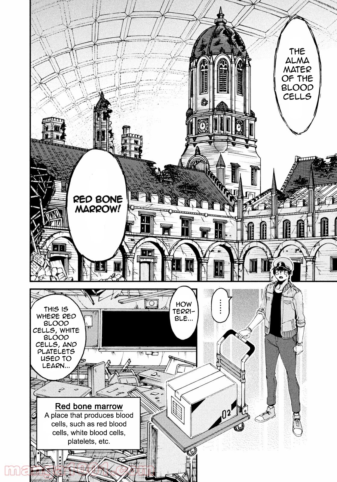 Hataraku Saibou BLACK Chapter 42 page 7 - Chapter 42