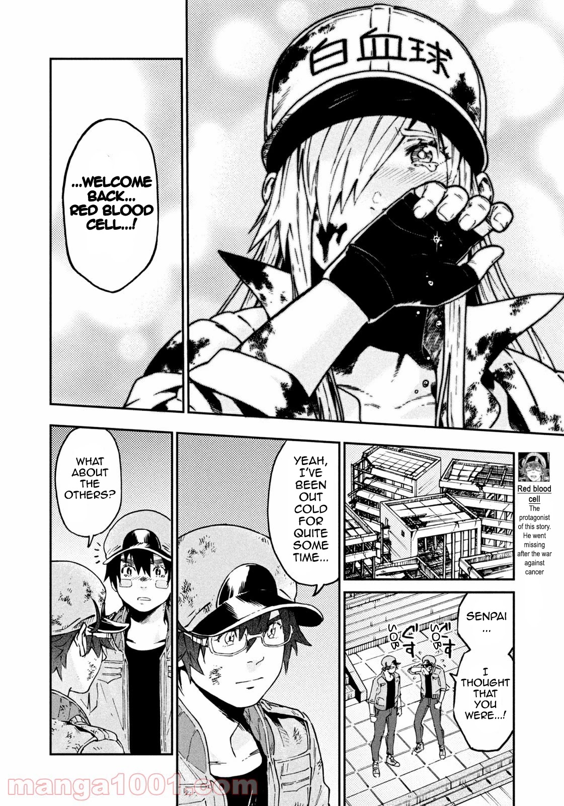 Hataraku Saibou BLACK Chapter 43 page 14 - Chapter 43