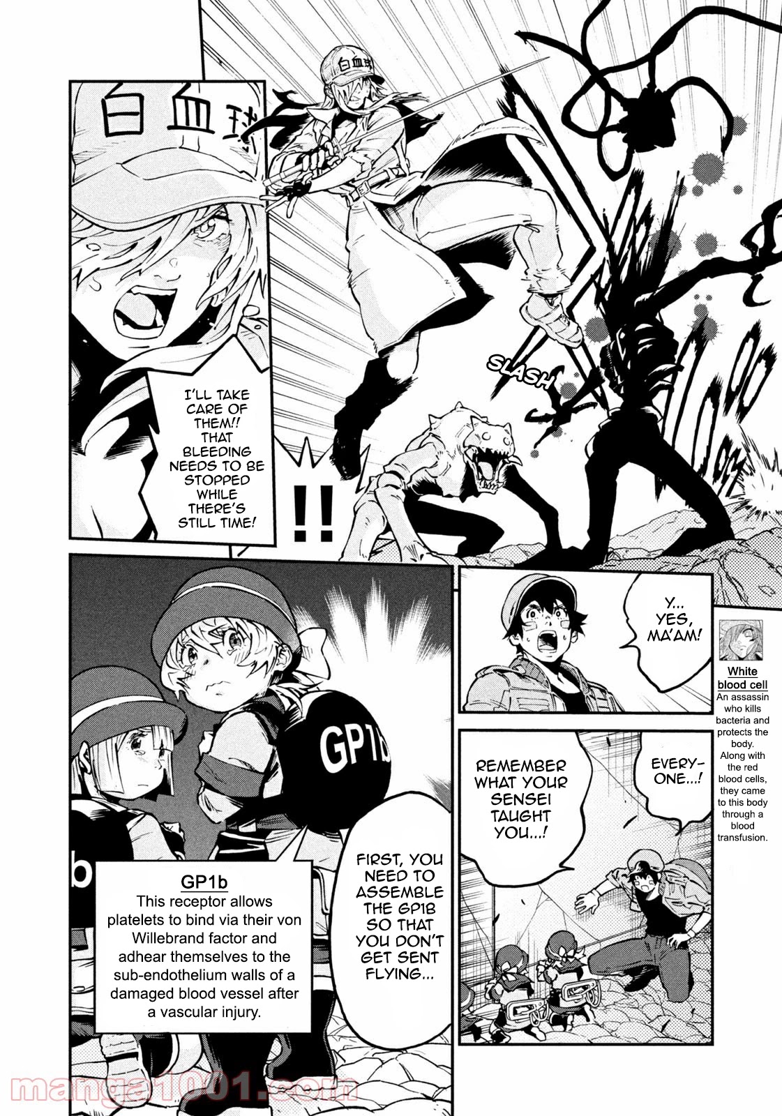 Hataraku Saibou BLACK Chapter 43 page 4 - Chapter 43