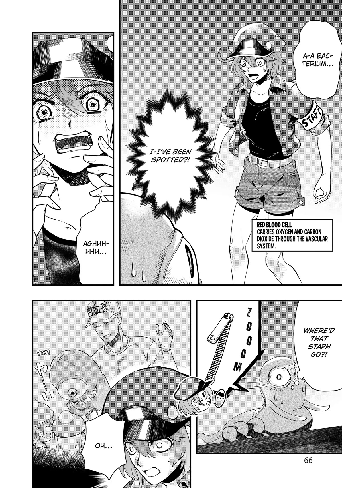 Hataraku Saibou WHITE Chapter 15 page 14 - Chapter 15