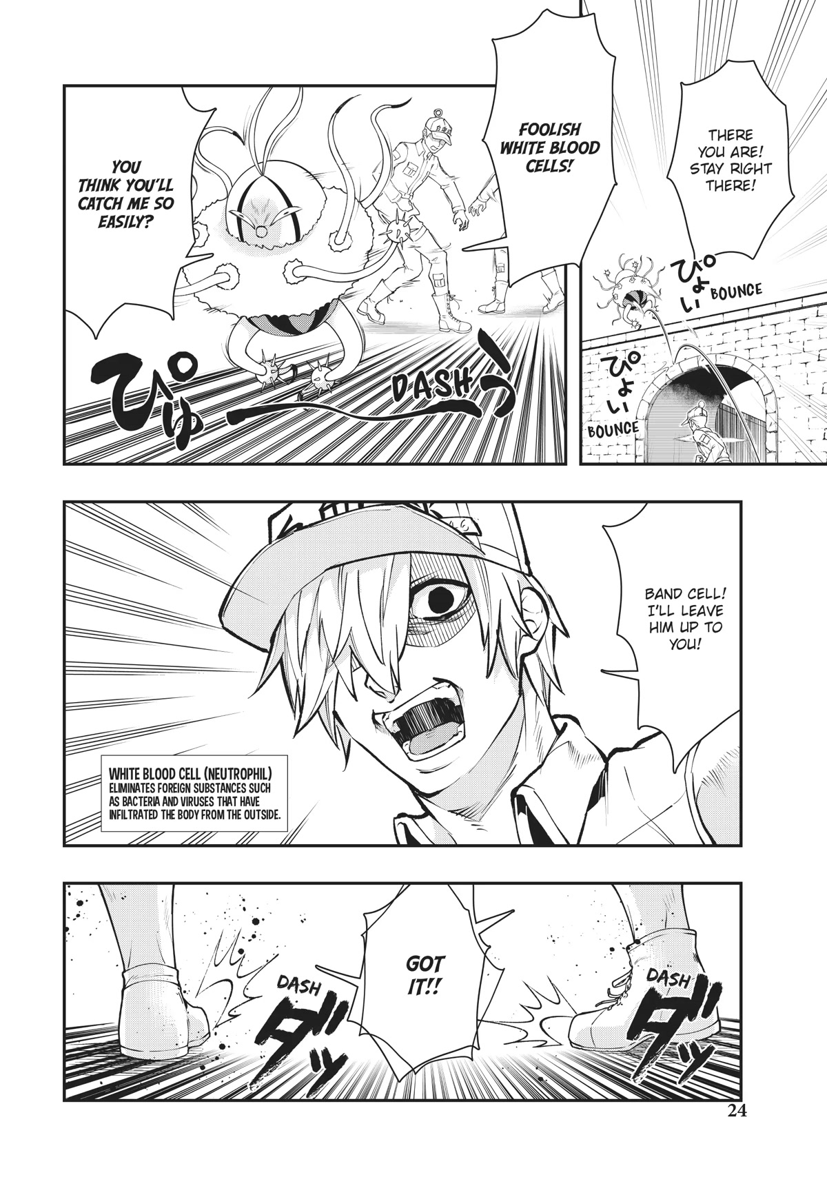 Hataraku Saibou WHITE Chapter 19 page 2 - Chapter 19