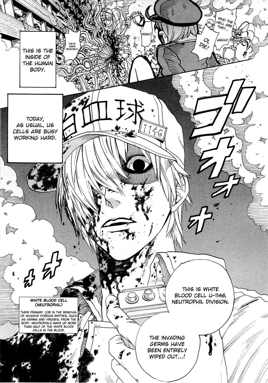 Hataraku Saibou Chapter 1 page 12 - Chapter 1 : Pneumococcus
