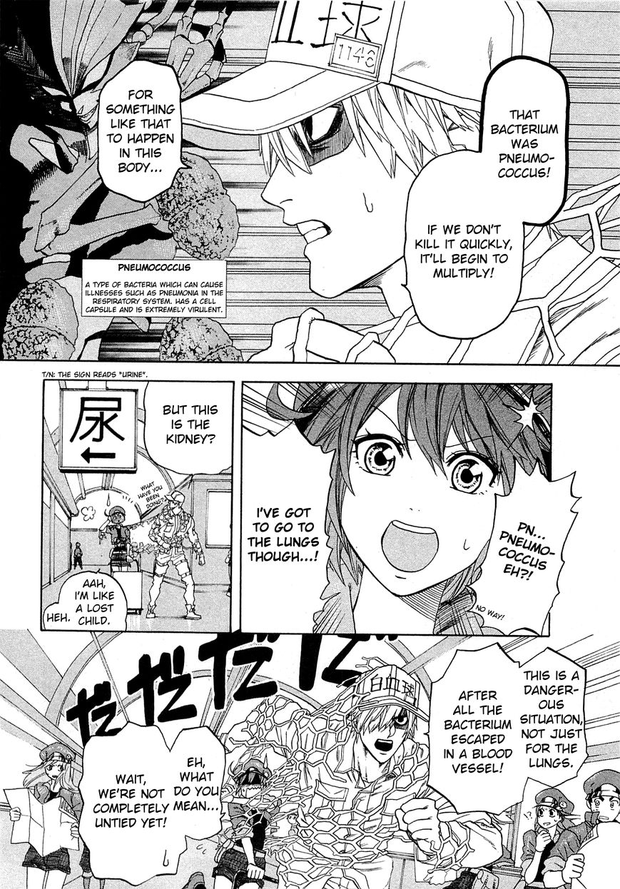 Hataraku Saibou Chapter 1 page 21 - Chapter 1 : Pneumococcus