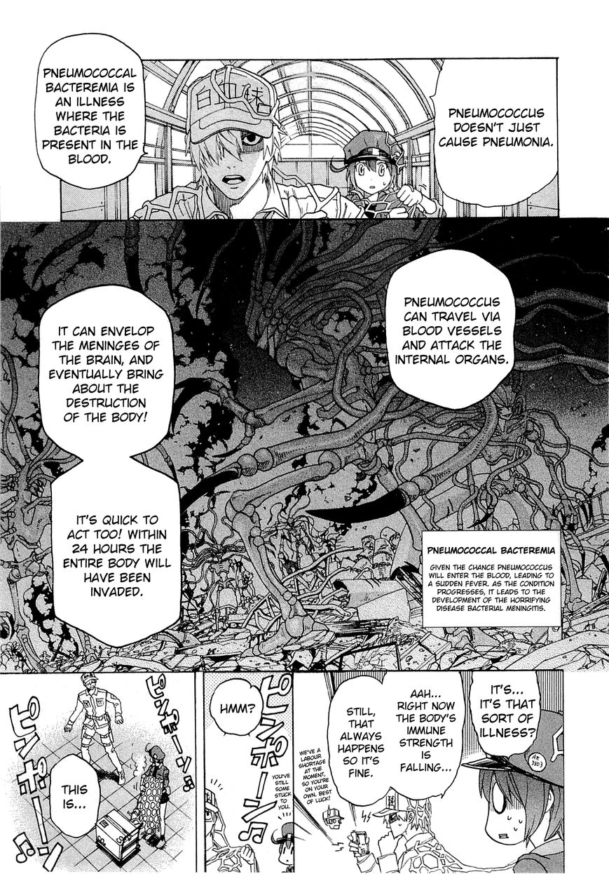 Hataraku Saibou Chapter 1 page 22 - Chapter 1 : Pneumococcus