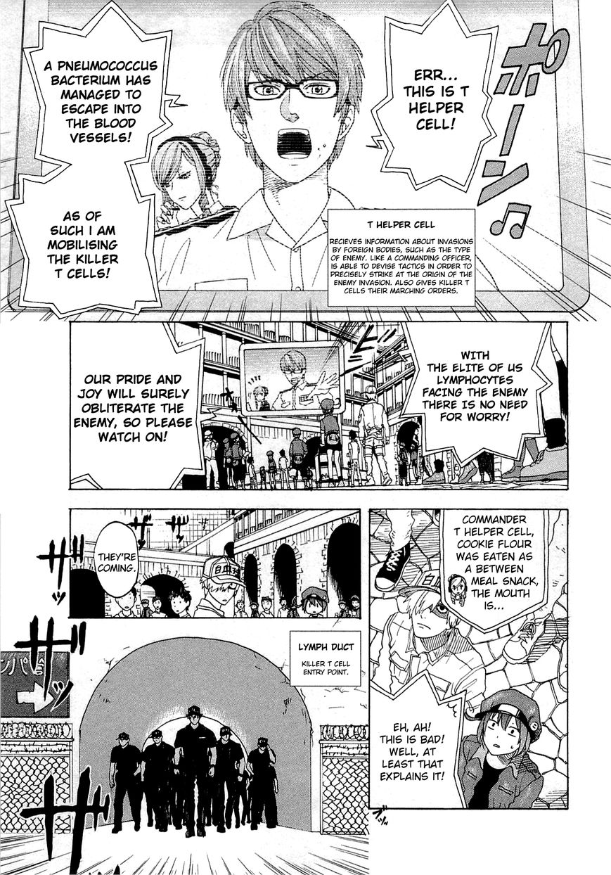 Hataraku Saibou Chapter 1 page 28 - Chapter 1 : Pneumococcus