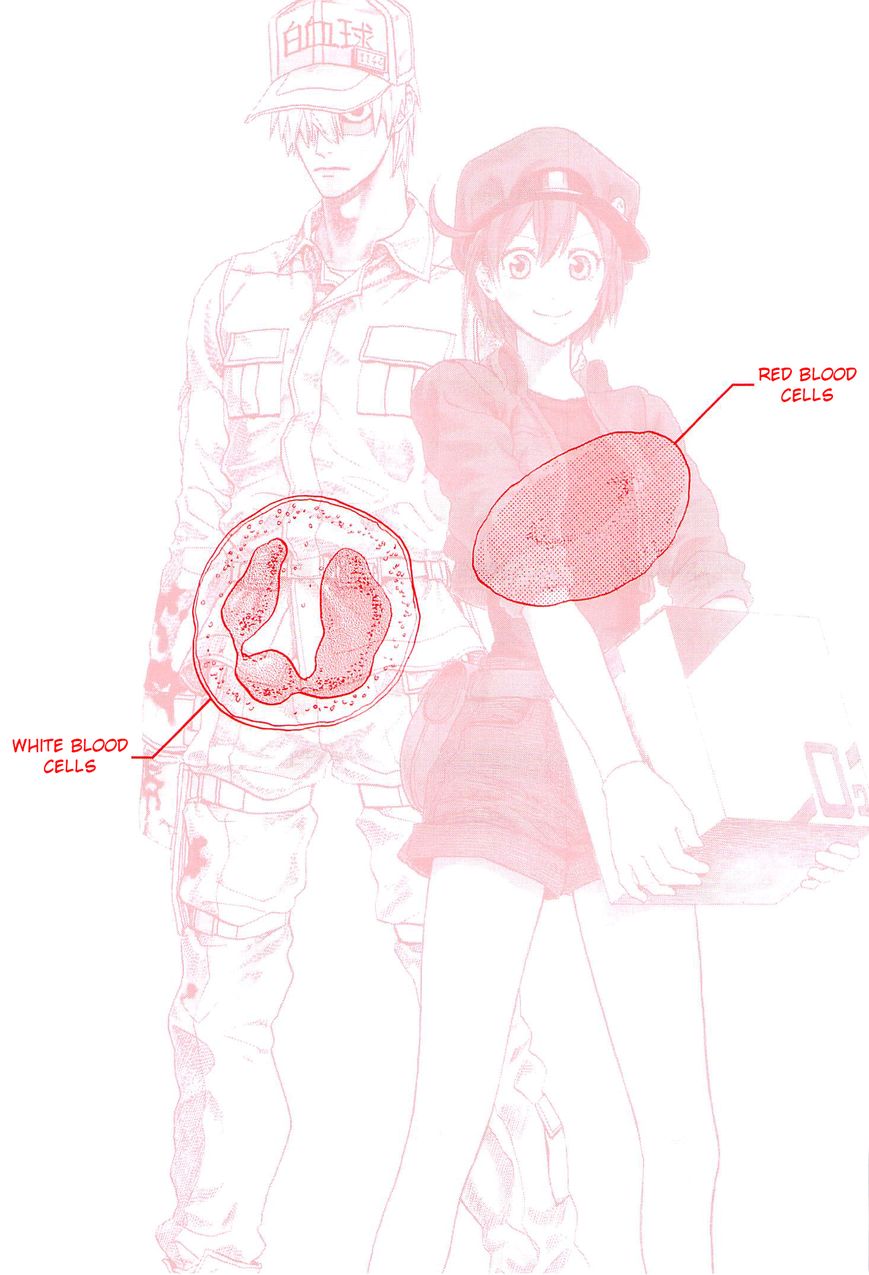Hataraku Saibou Chapter 1 page 4 - Chapter 1 : Pneumococcus
