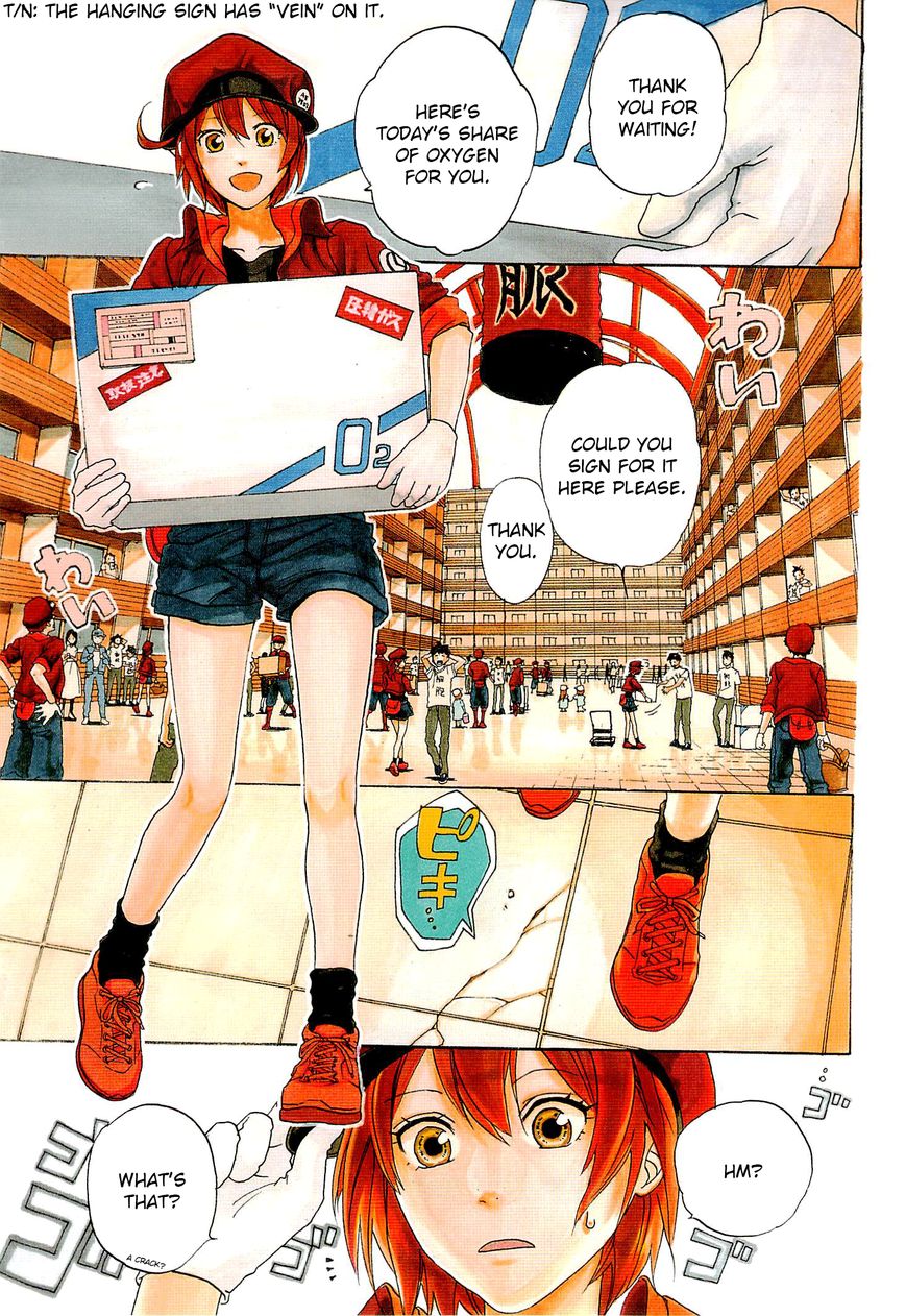 Hataraku Saibou Chapter 1 page 5 - Chapter 1 : Pneumococcus