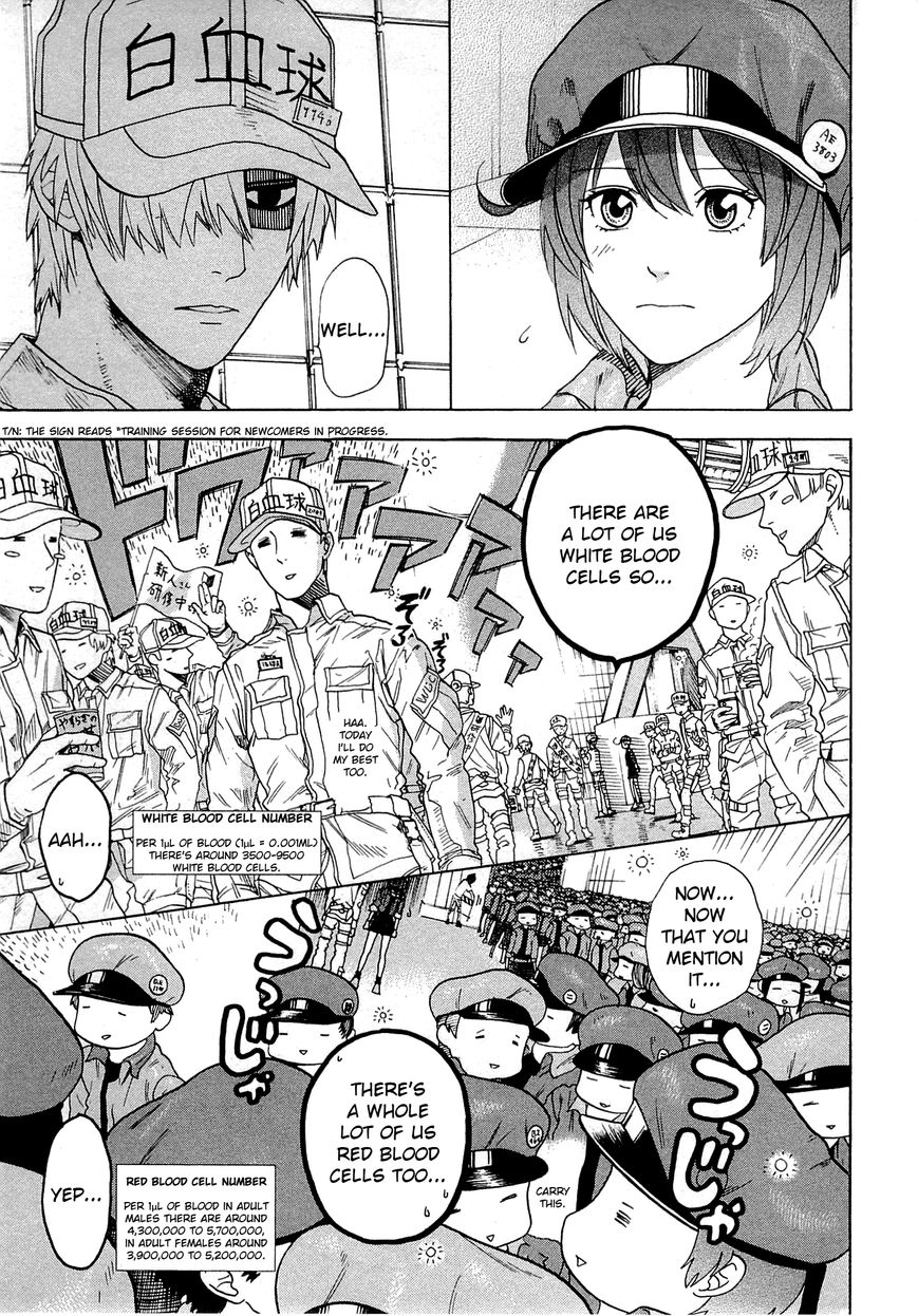 Hataraku Saibou Chapter 1 page 58 - Chapter 1 : Pneumococcus
