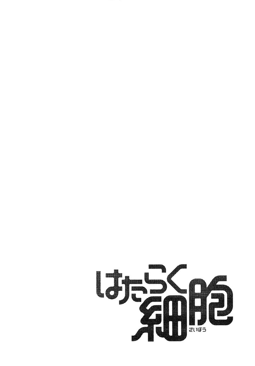 Hataraku Saibou Chapter 1 page 61 - Chapter 1 : Pneumococcus