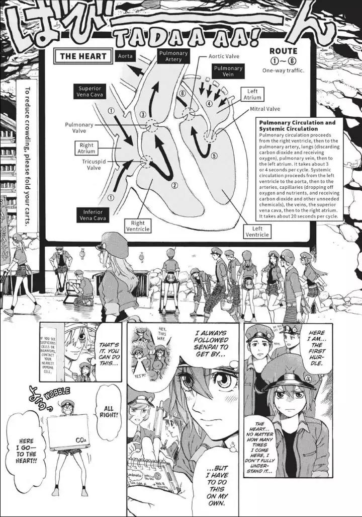 Hataraku Saibou Chapter 10 page 12 - Chapter 10: The Circulatory System