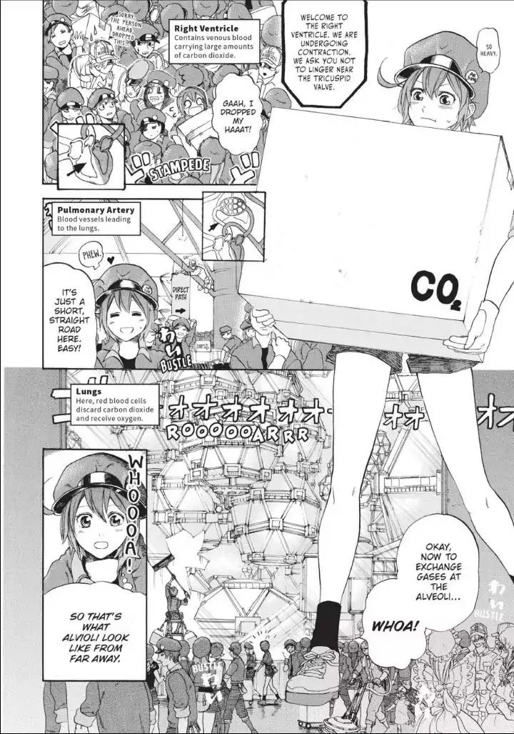 Hataraku Saibou Chapter 10 page 15 - Chapter 10: The Circulatory System