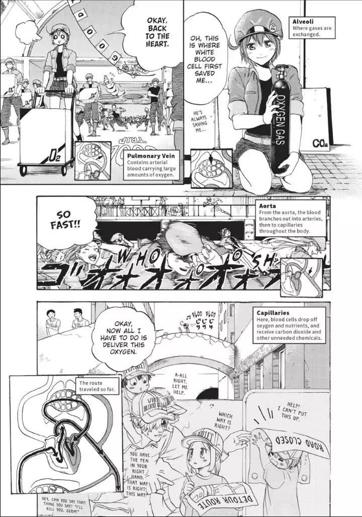 Hataraku Saibou Chapter 10 page 16 - Chapter 10: The Circulatory System