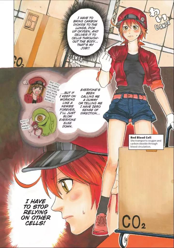 Hataraku Saibou Chapter 10 page 3 - Chapter 10: The Circulatory System